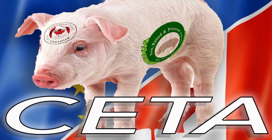 CETA_CPC_Pig