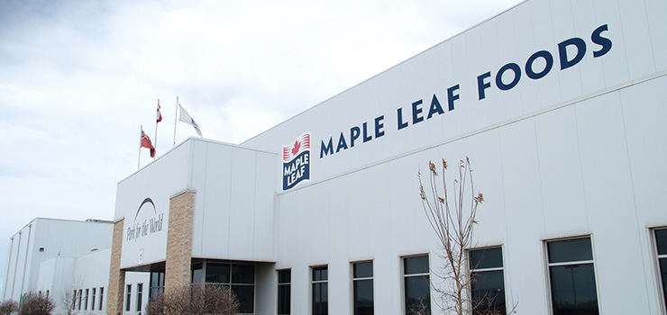 Maple-Leaf-standard