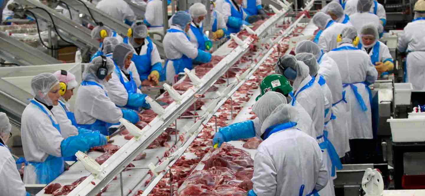 MeatProcessWorkers2