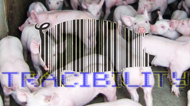 PigTrace