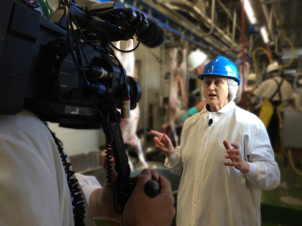 Temple Grandin shooting a video in a meat processing plant in 2016