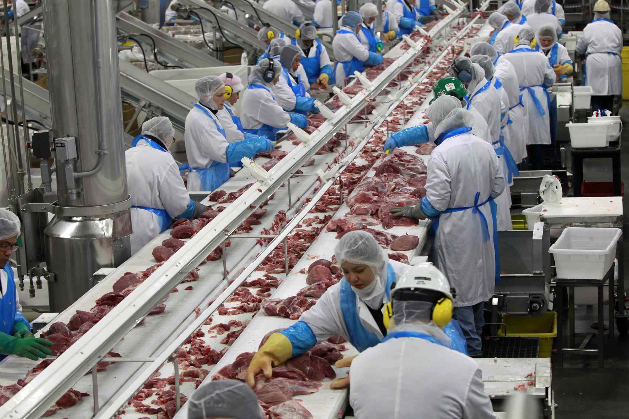 WAYNE.GLOWACKI@FREEPRESS.MB.CA   The pork assembly production line at Maple Leaf Foods. 