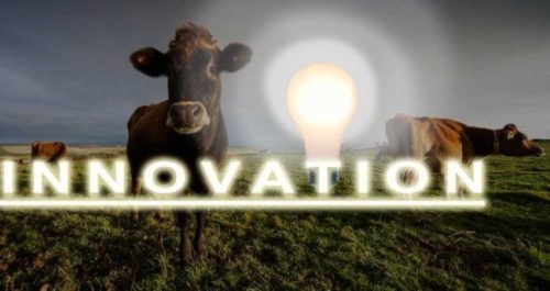 innovationcows