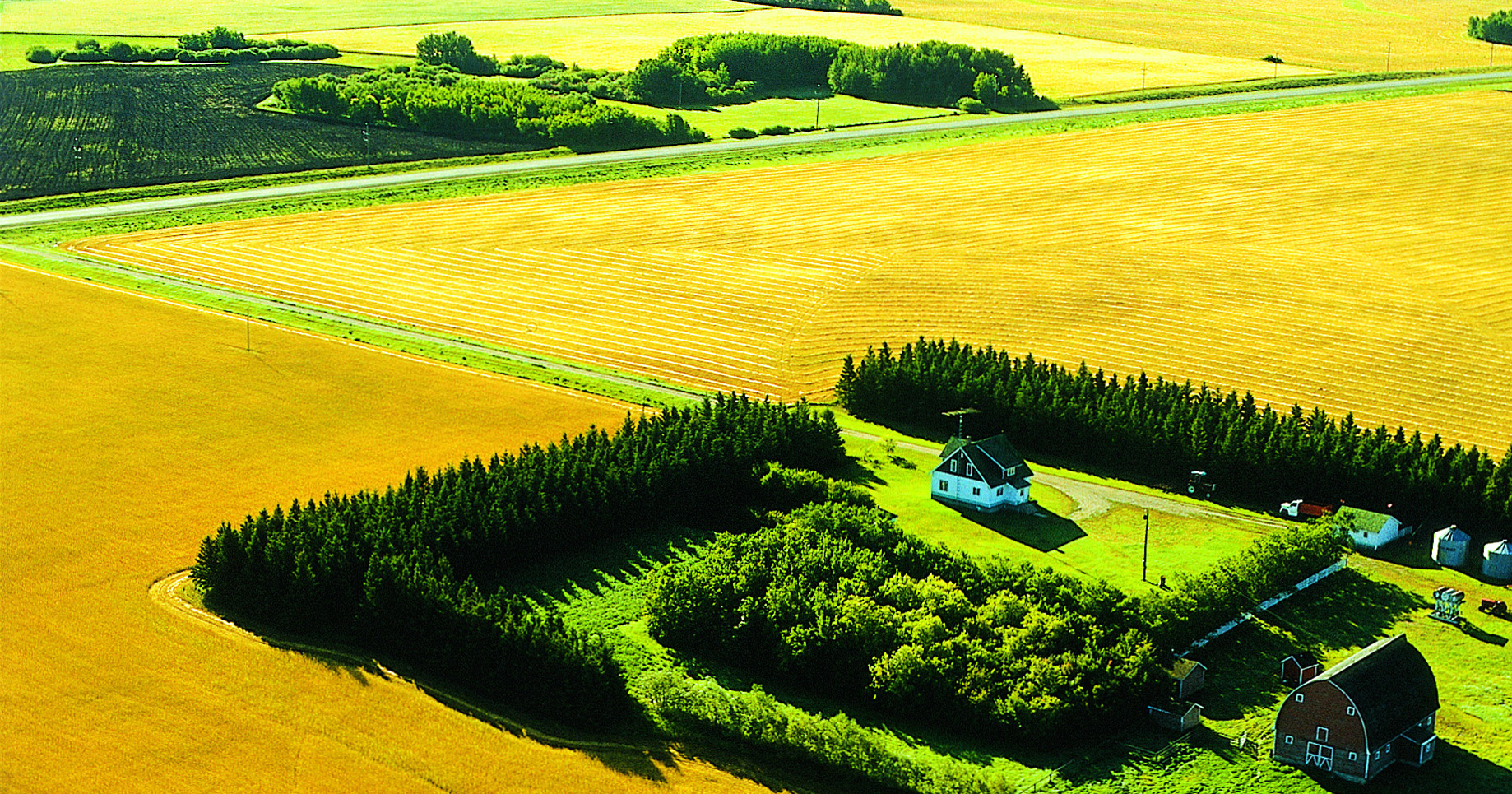 farmfromtheairweb