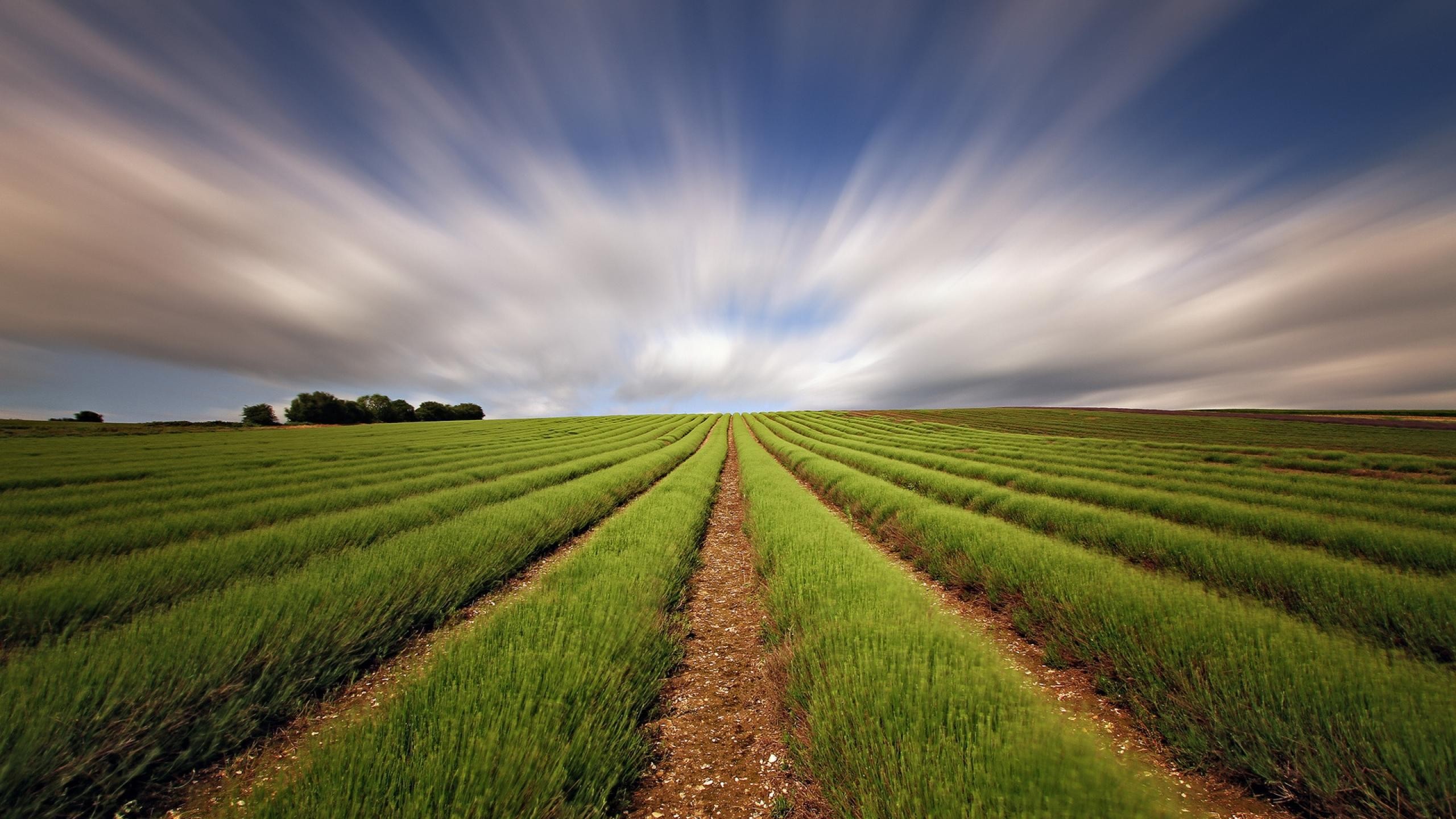 farmland