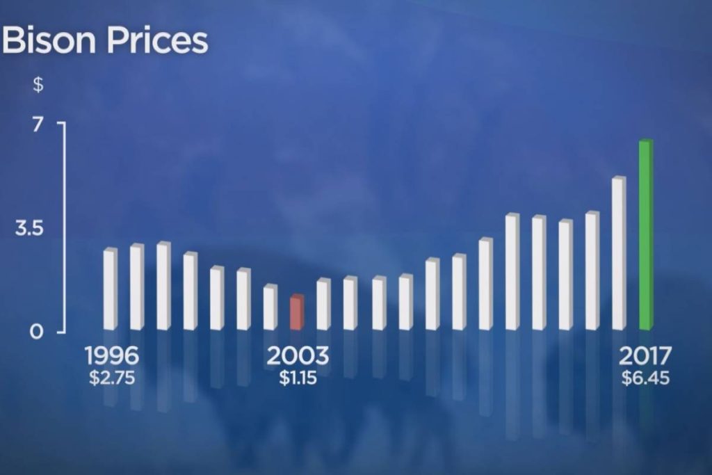 Due to international demand, prices for bison has steadily climbed over the past ten years. - Canadian Bison Association