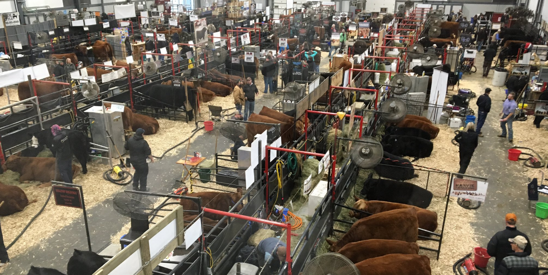 agribition_2017