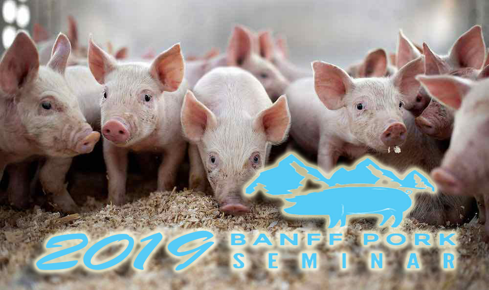 piglets2019