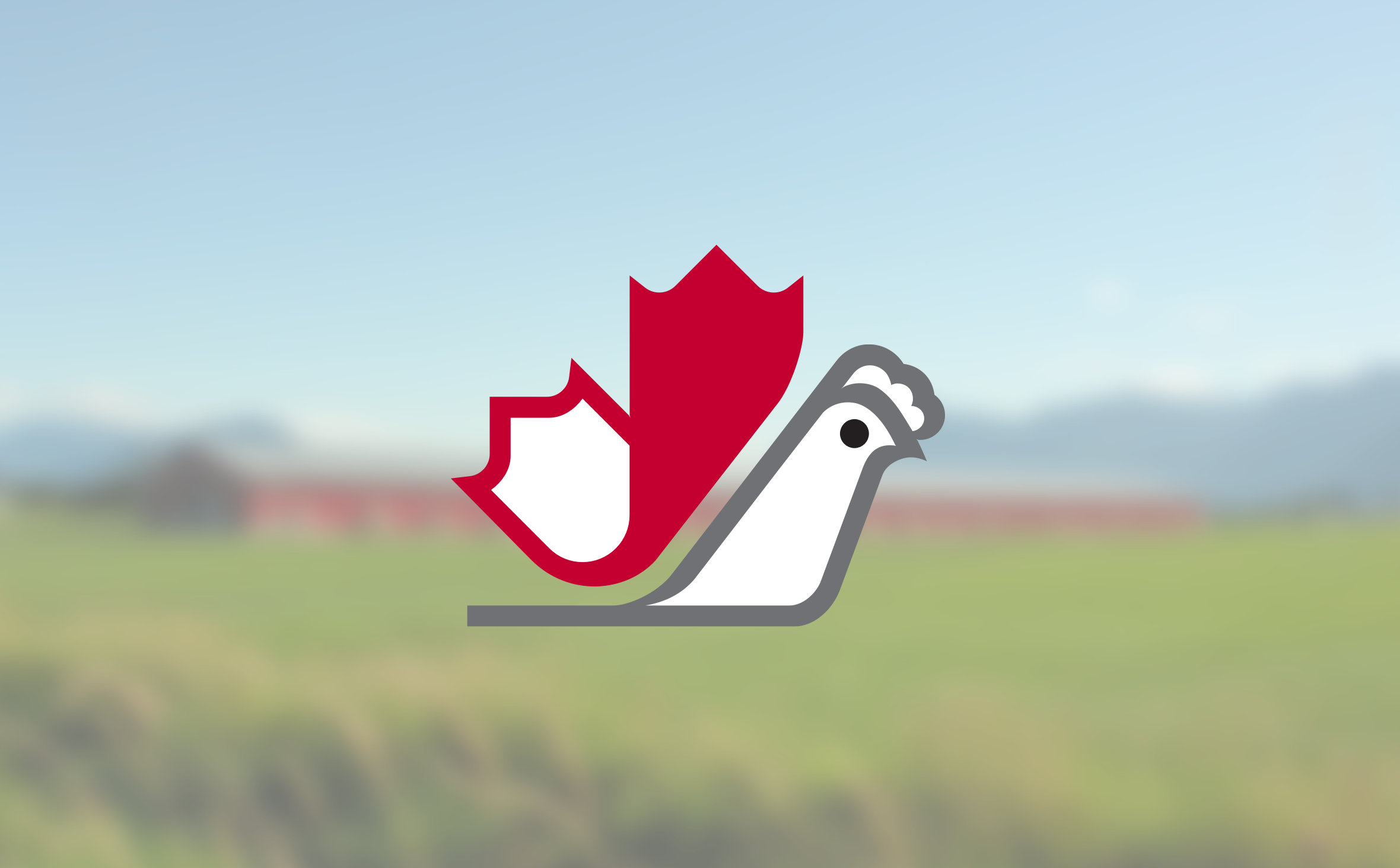 chickenfarmersofcdn1