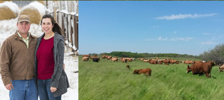 For Cameron and Lisa Hodgins of Hodgins Farm, environmental stewardship includes farming within the natural ecosystem, which includes re-introducing flora such as trees and shrubs and leaving wetlands intact, which works hand-in-hand with their beef operation. Hodgins Farm participates in Manitoba Open Farm Day, hosts kid’s camps and pasture tours, and utilizes social media to promote environmental sustainability and farm life.(CCA)