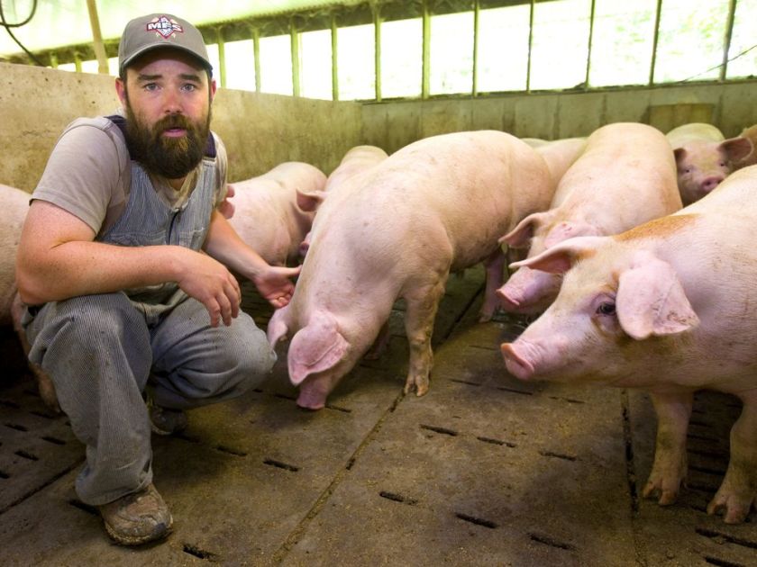 Stewart Skinner, of Listowel, thinks Canada should diversify its pork exports to other Asian countries such as Vietnam, South Korea or Cambodia (Mike Hensen/The London Free Press)	