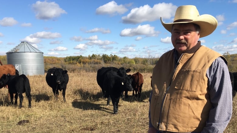 Doug Sawyer, who raises cattle near Red Deer, had a good start to the year and plans to do his certification application for exporting beef to Europe. (Vincent Bonnay/CBC)