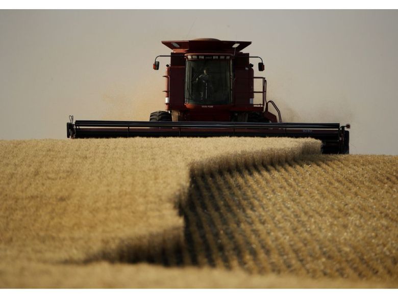 Should the strike continue, Canada's wheat and oilseed farmers may have no access to rail cars on which to ship their crops out for export.Charlie Riedel / THE ASSOCIATED PRESS 