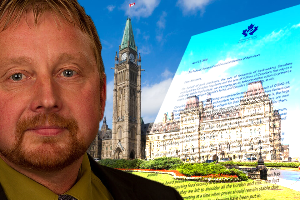 bergmanlettertoparliamenthill