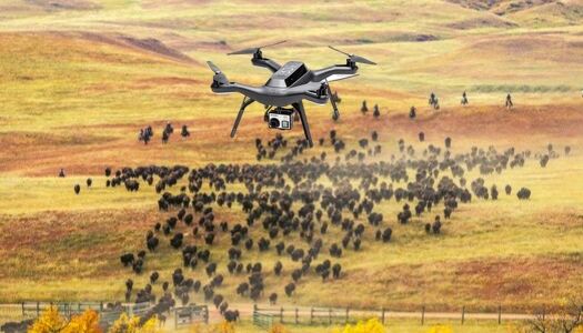 drones-for-livestock-management