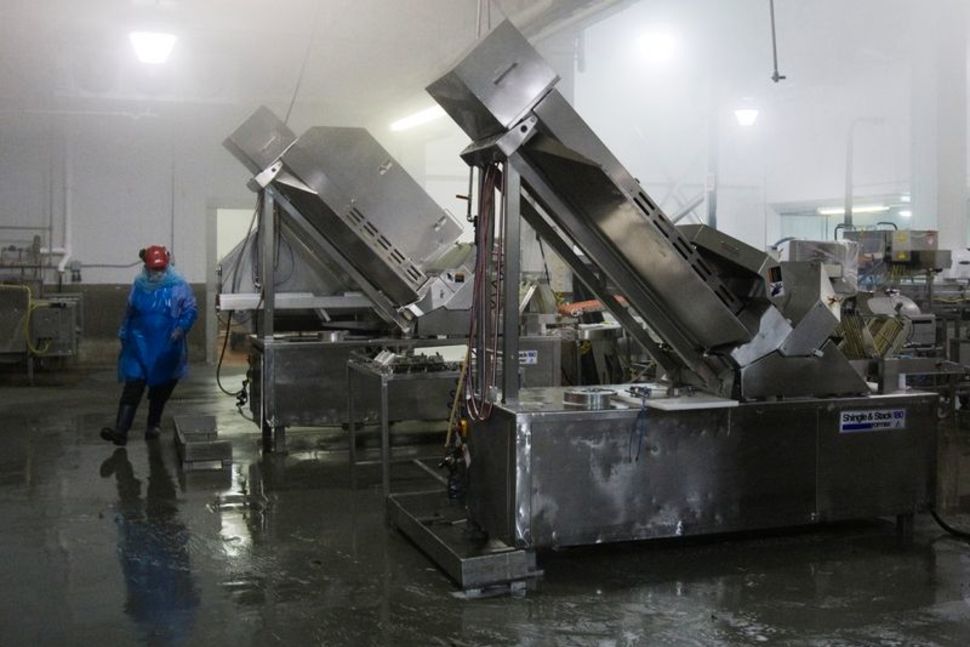 A man works to sterilize meat processing and packaging equipment at the Maple Leaf Foods plant in Toronto - REUTERS/Mark Blinch/File Photo