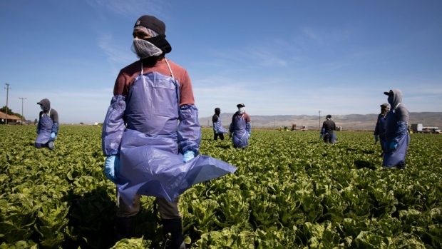 farm-laborers