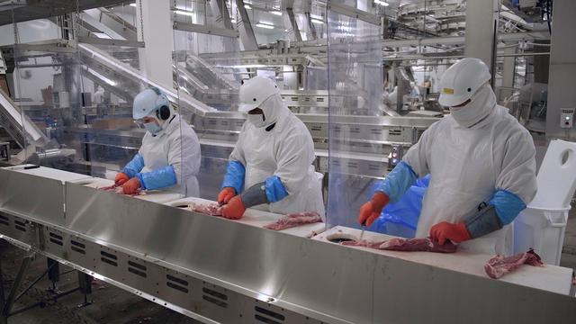 Olymel employees work in one of the company's hog-slaughtering plants in July 2020.  (REUTERS)