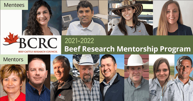 BCRCresearchMentors