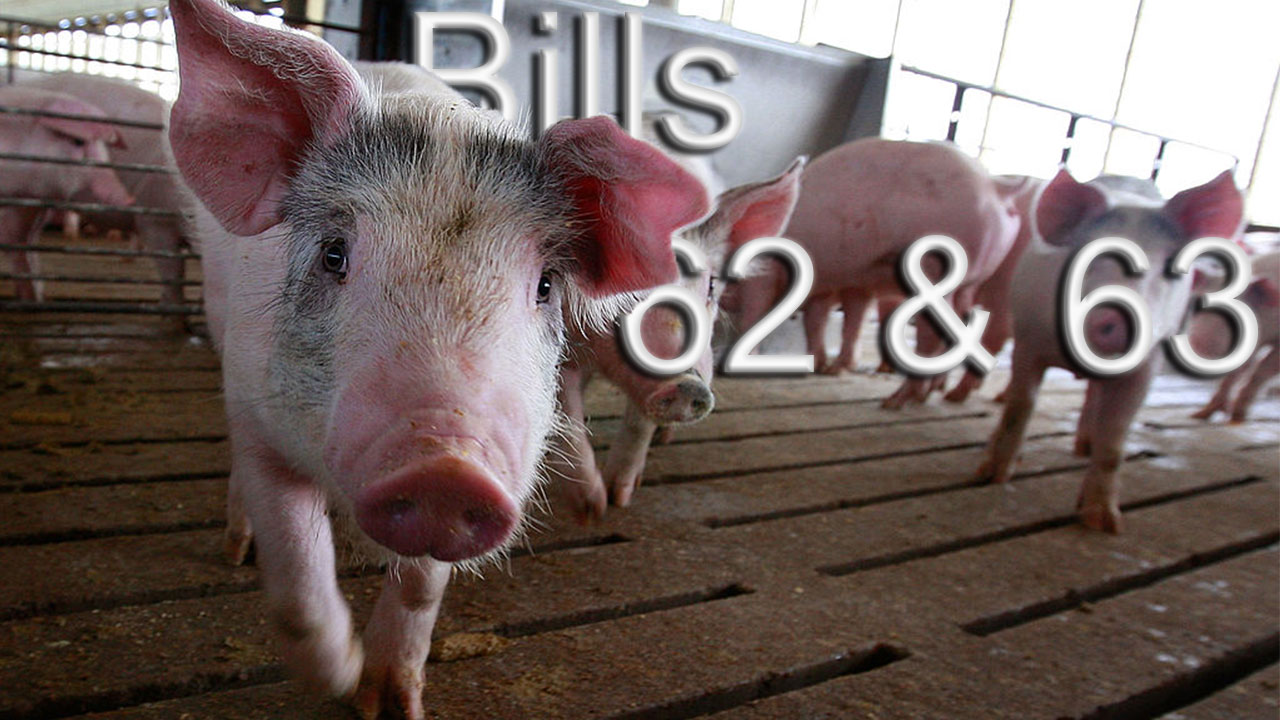 Bill62and63Pork