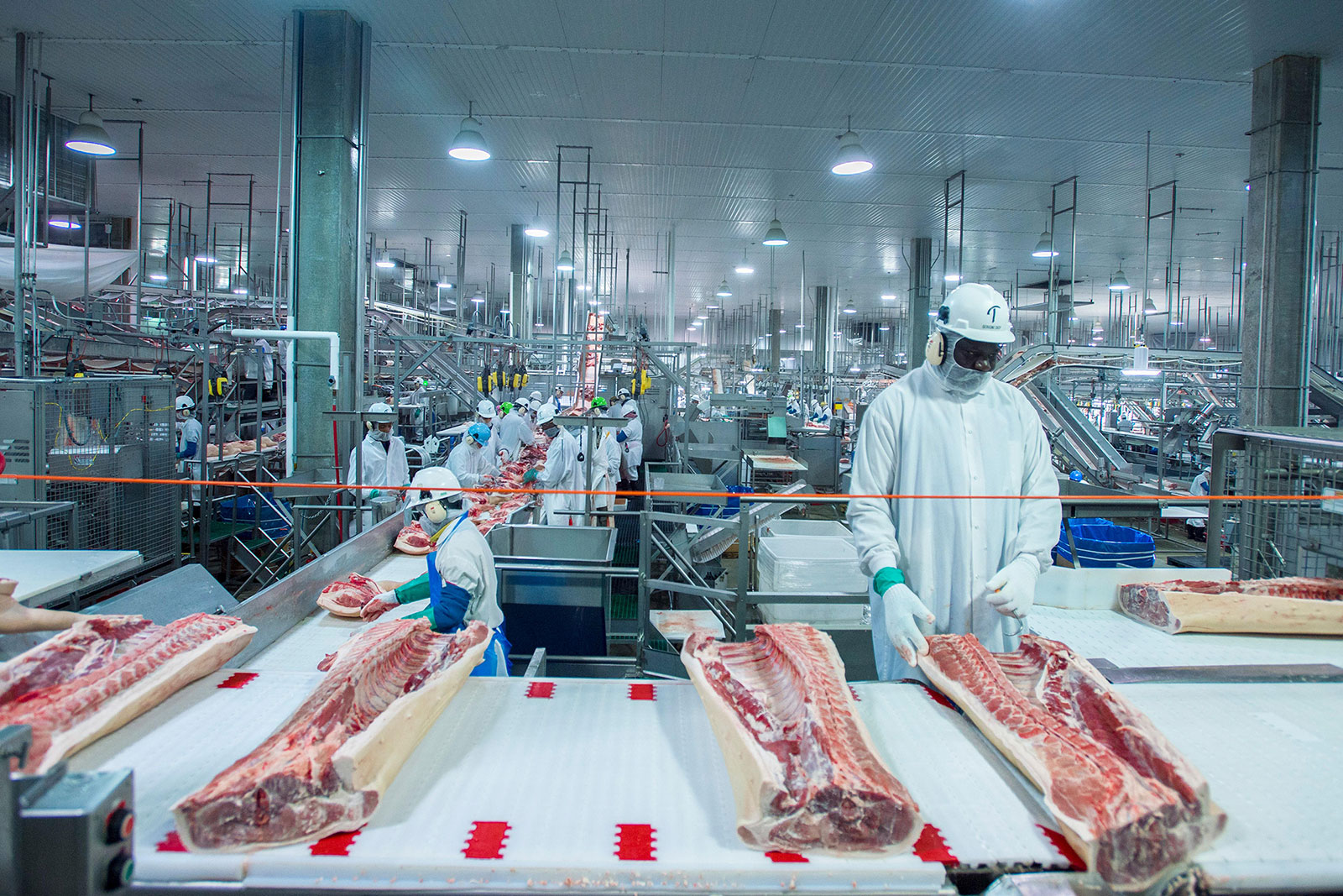 Workers on the line at Triumph Foods pork processing facility in St. Joseph, Missouri. (USDA Photo/Alamy)