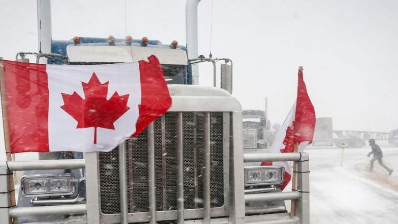 RCMP said Thursday trucks are now crossing the border into Montana. Alberta's cattle industry is raising concerns about what harm continued disruptions could do to supply chains. (Erin Collins/CBC)