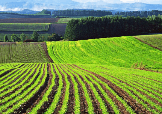 Farm fields in Ukraine (Reuters)