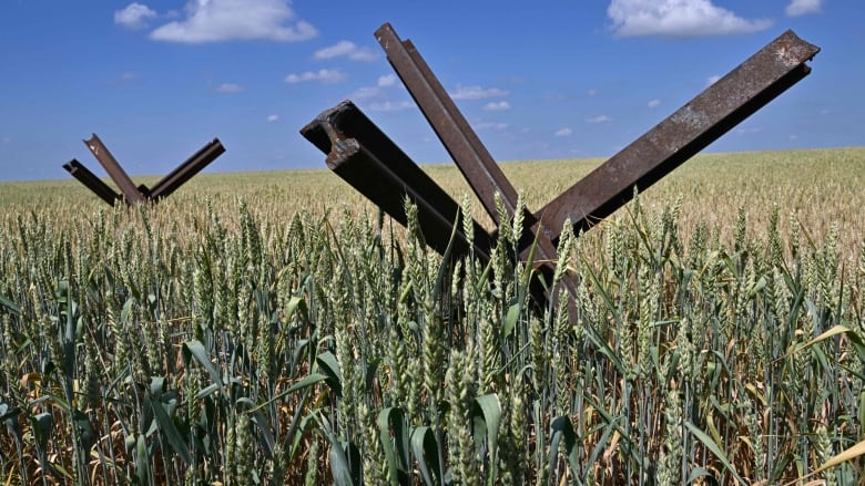 Anti-tank obstacles stand in a wheat field at a farm in southern Ukraine's Mykolaiv region on Saturday. With Ukraine unable to export most of its wheat and other grains through its Black Sea ports as the Russian invasion continues, there are concerns cutting off the breadbasket of Europe will create and worsen food shortages around the world. (Genya Savilov/AFP/Getty Images)