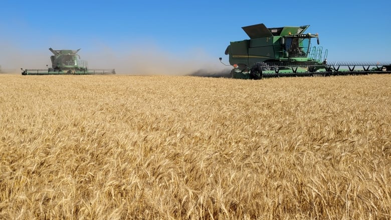 Jake Leguee’s farm is a progressive grain, oilseed and pulse operation, growing mixed crops over approximately 14,500 acres near Filmore, Sask. (Jake Leguee)
