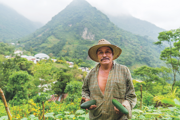 Enrique Samayoa farms in La Libertad, Guatemala.(World Neighbors)