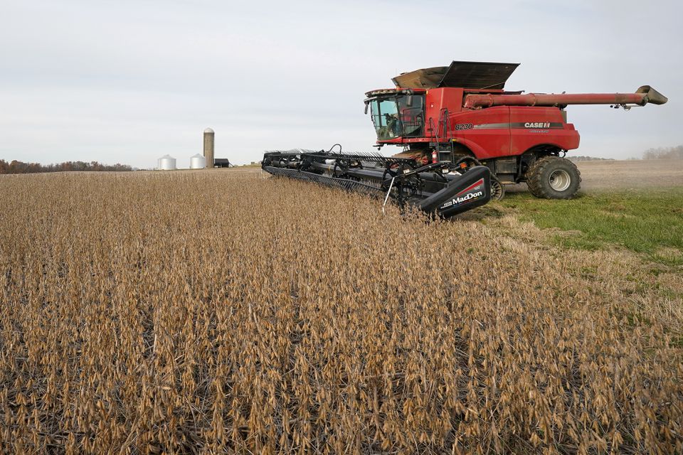 Soybeans are harvested from a field on Hodgen Farm in Roachdale, Indiana, U.S. November 8, 2019. REUTERS/Bryan Woolston
