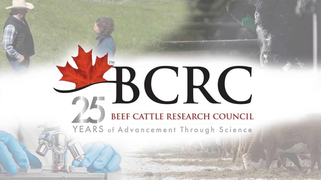 25-years-BCRC