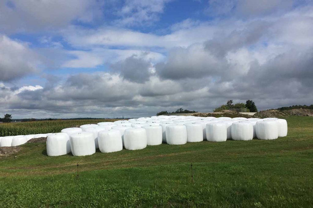 Cleanfarms-bale-pouliot-img-4389-web-1024x683