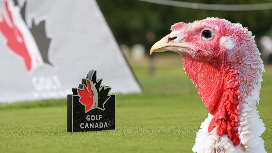 GolfCanada-Turkey