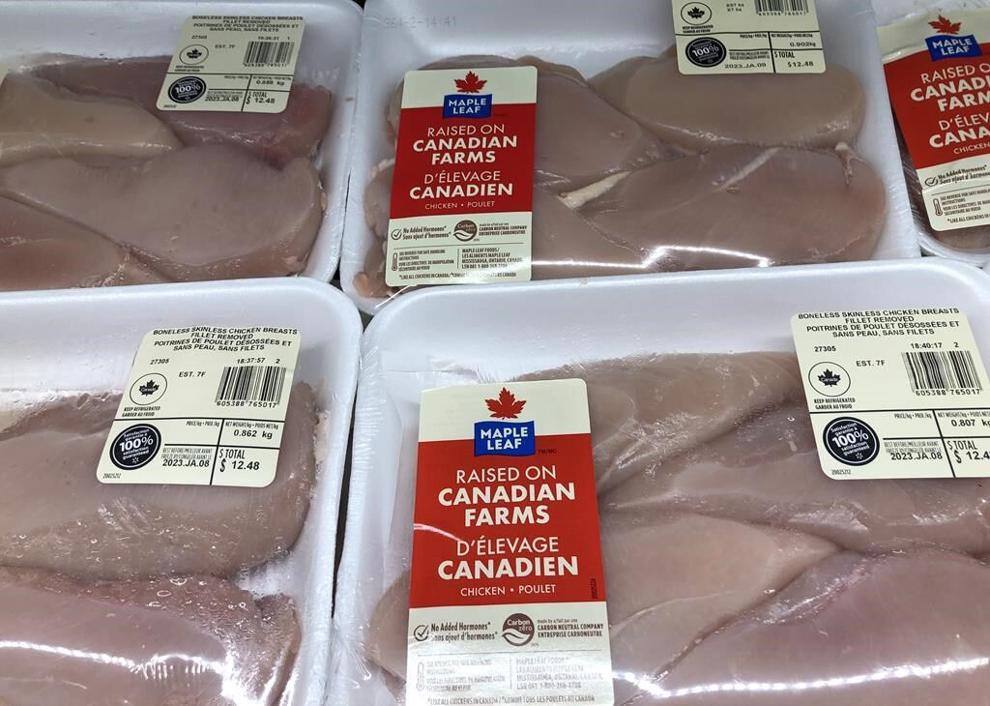 Packages of chicken breasts by Maple Leaf Foods are shown on a shelf at a grocery store in Oakville, Ont., Friday, Jan.6, 2023. THE CANADIAN PRESS/Richard Buchan