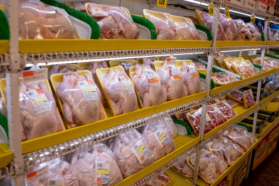 Chickens are displayed for sale in the meat department of a grocery store in the Brooklyn borough of New York REUTERS/Lucas Jackson