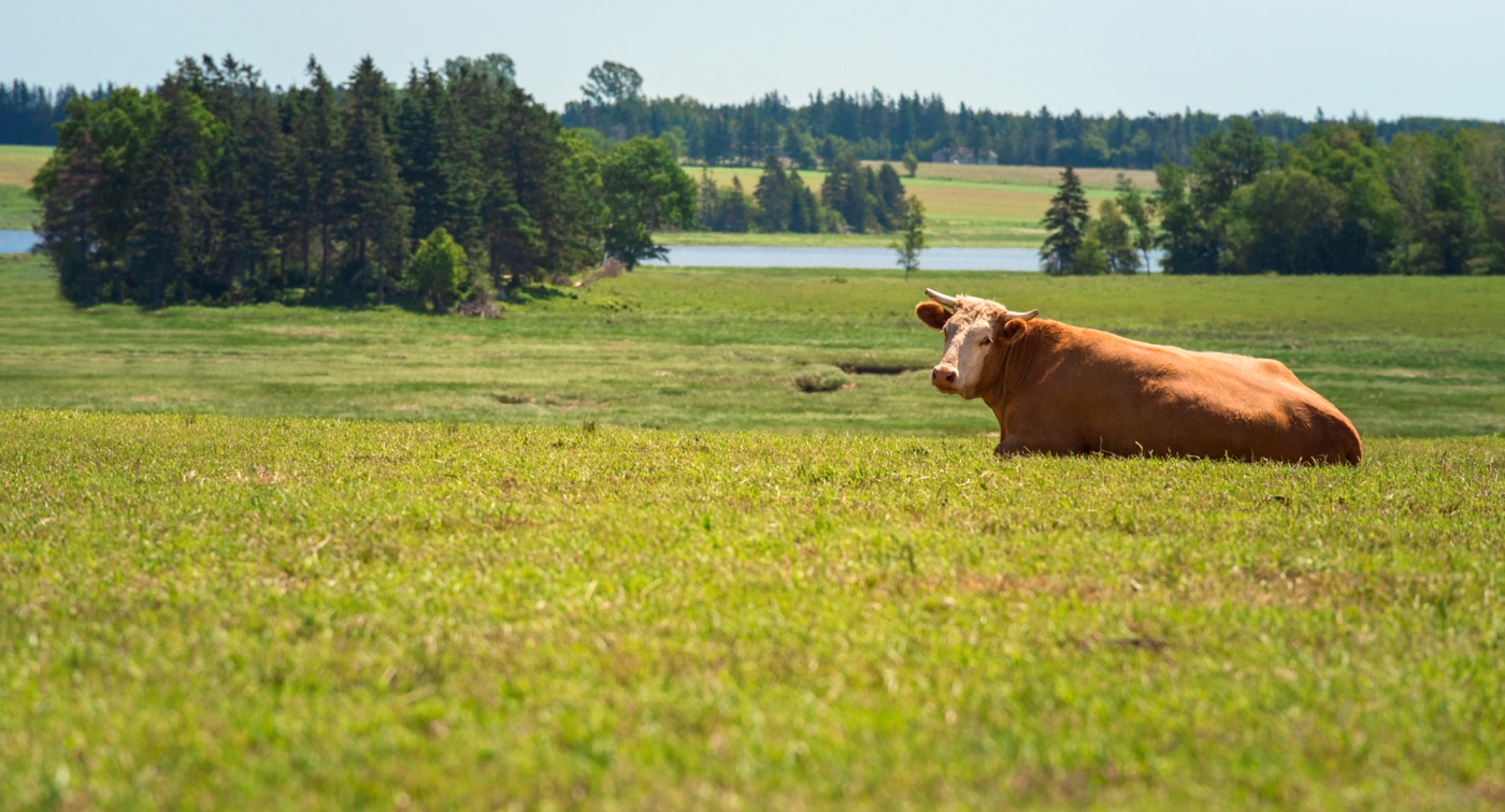 photo credit: PEI tourism