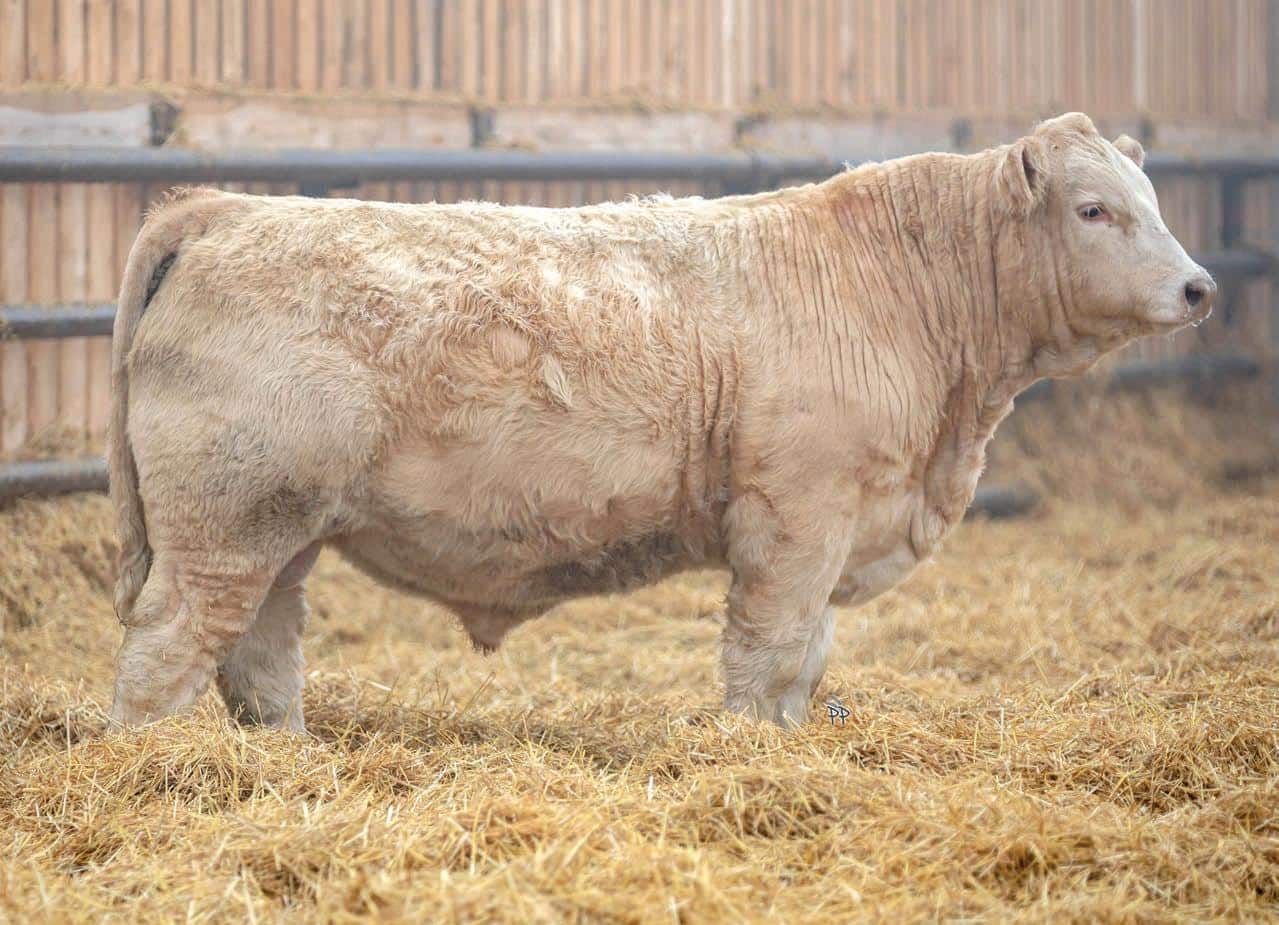 photo credit: Steppler Farms